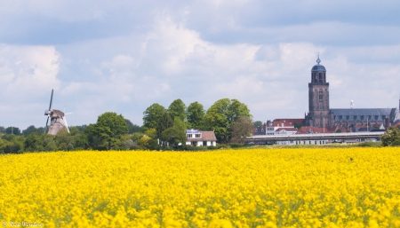 Bolswerksweide op loopafstand van de Deventer Buitensociëteit & Bowling